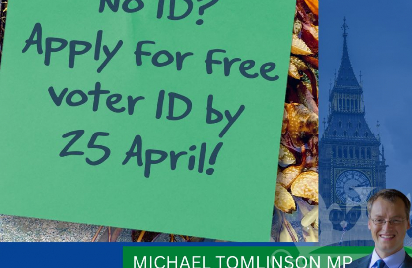 Voter ID graphic