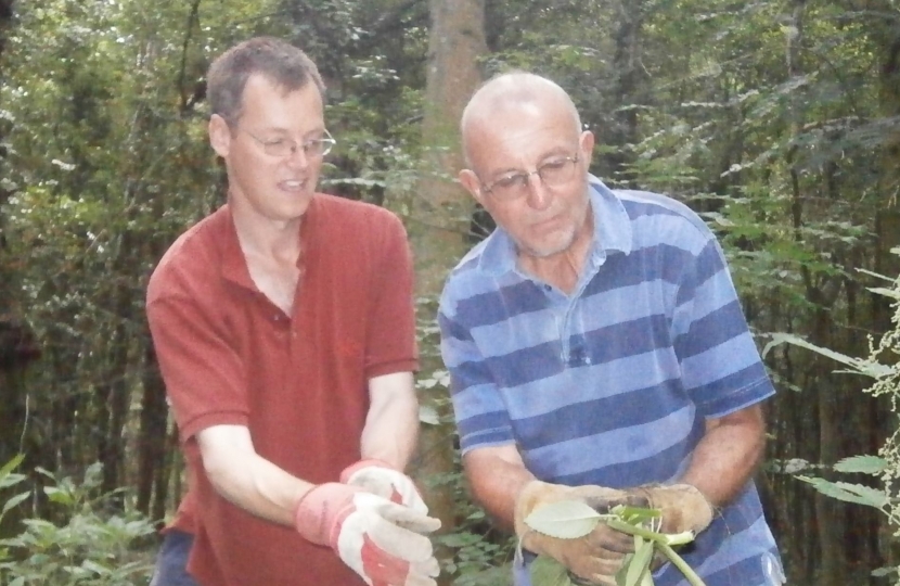 Michael Tomlinson and Mike Bartlett pulling Himalayan Balsam