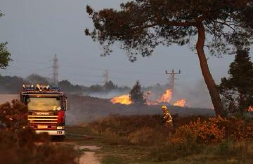 Fire on Canford Heath