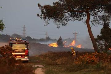 Fire on Canford Heath